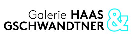 Galerie HAAS & GSCHWANDTNER